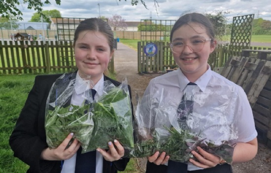 Weymouth students transform wasteland with orchard for schools award